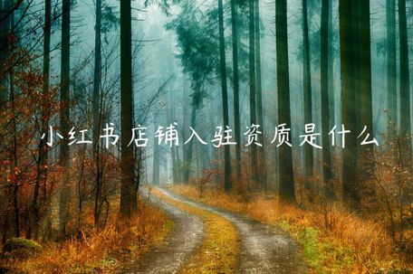 小紅書店鋪入駐資質(zhì)是什么